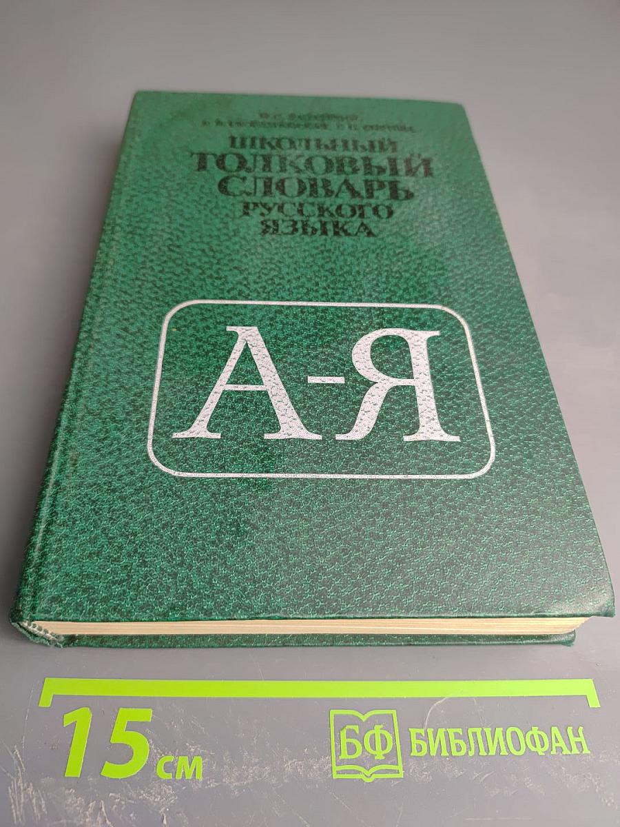 Школьный толковый словарь русского языка