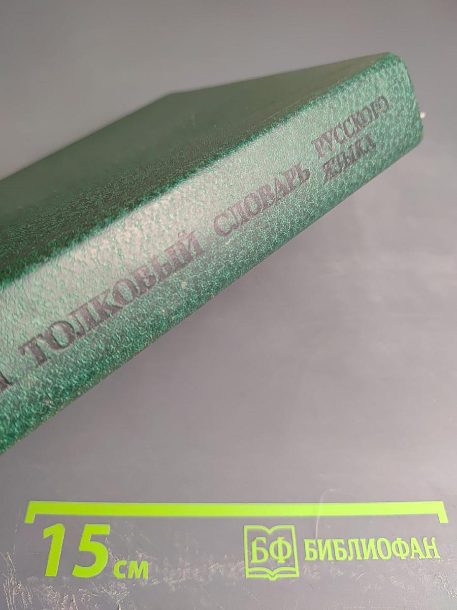 Школьный толковый словарь русского языка