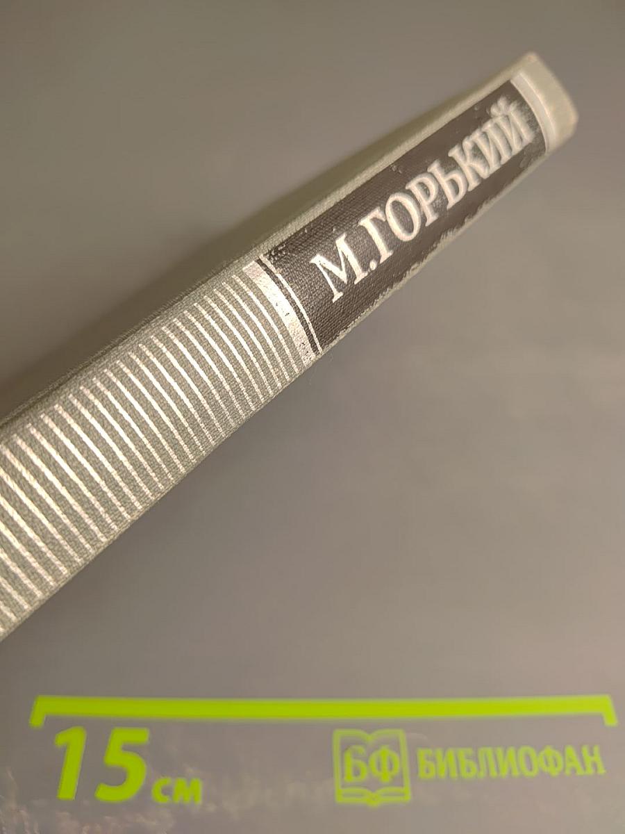 Жизнь Клима Самгина (Сорок лет). Том XIII