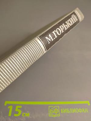 Жизнь Клима Самгина (Сорок лет). Том XIII