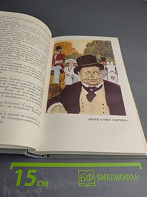 Собрание сочинений в 16 томах. Том 14. Жизнь Клима Самгина