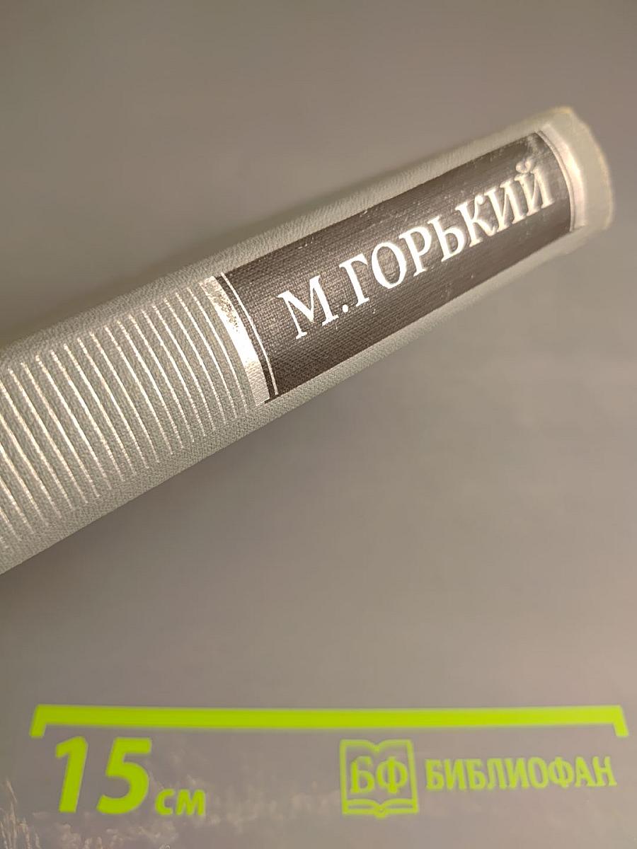 Собрание сочинений в 16 томах. Том 14. Жизнь Клима Самгина