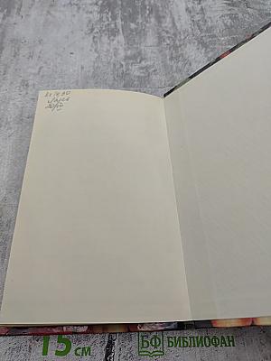 Теплицы, парники, укрытия для садовых и приусадебных участков