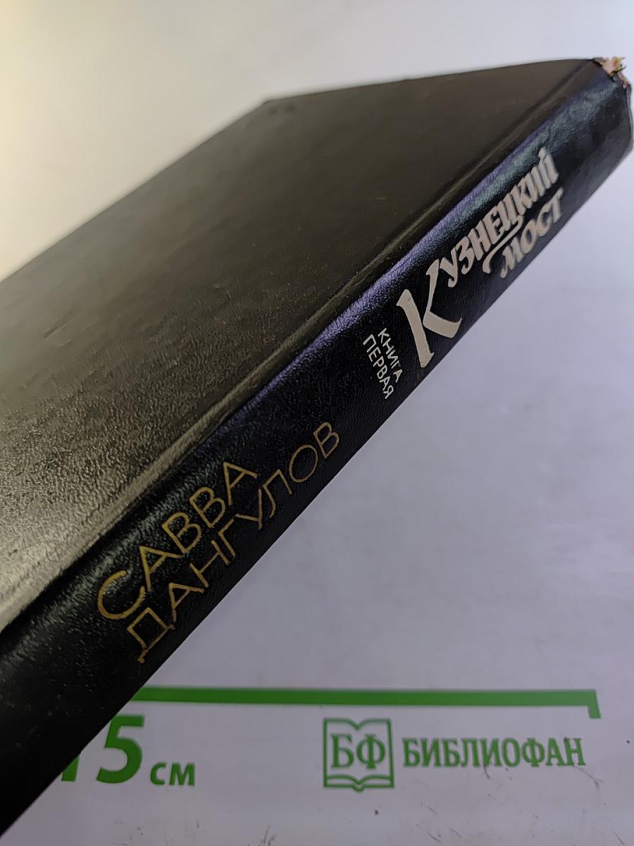 Кузнецкий мост. Книга 1