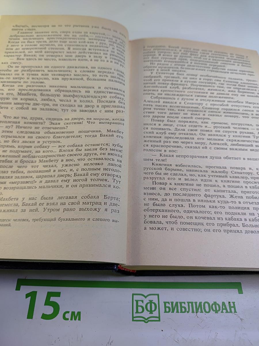 Былое и думы