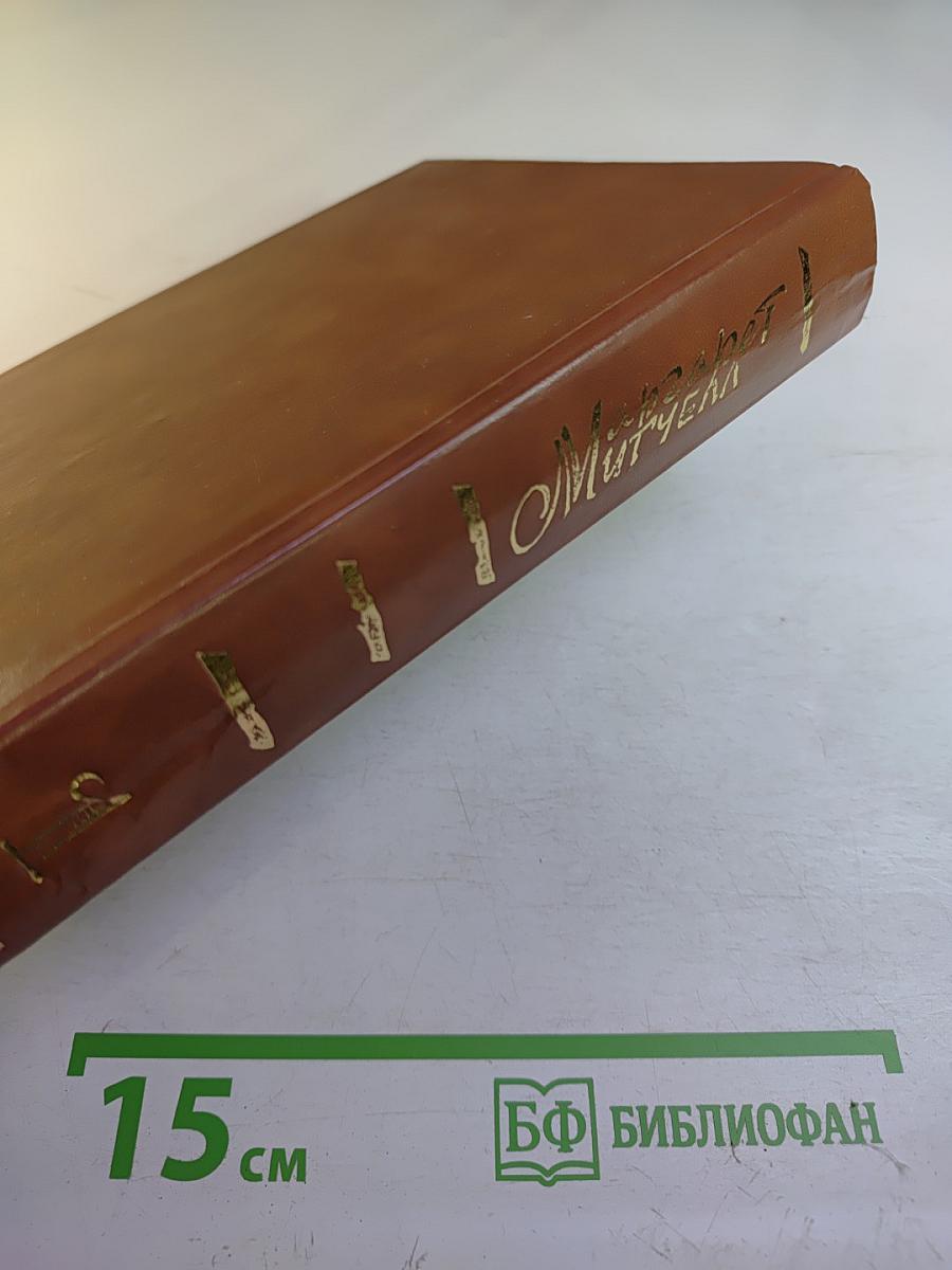 Унесенные ветром. Том 1