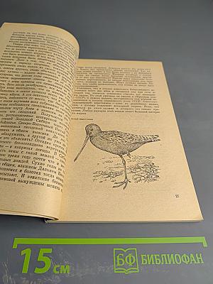 В мире живой природы. Рассказы натуралиста