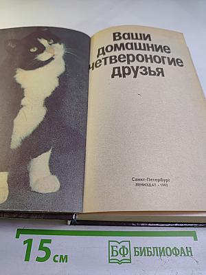 Ваши домашние четвероногие друзья