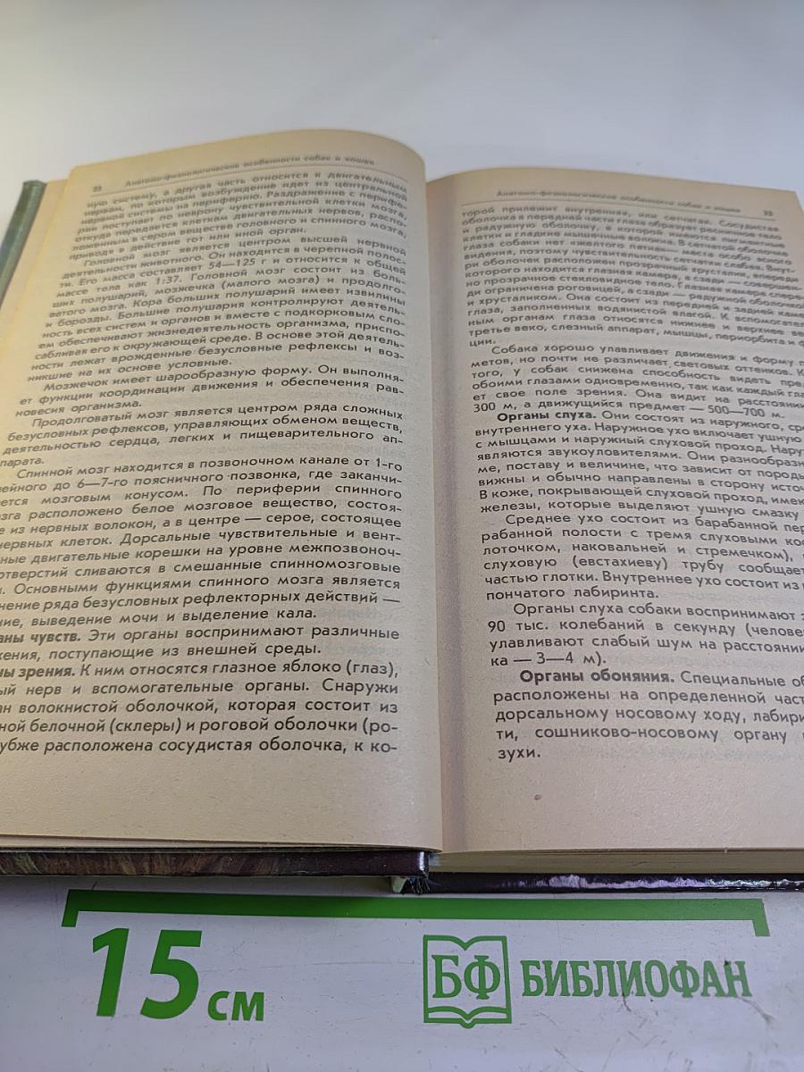 Ваши домашние четвероногие друзья