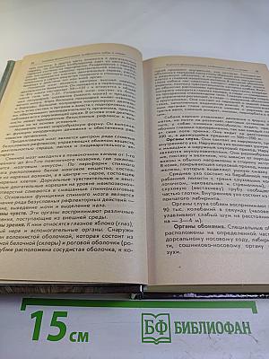 Ваши домашние четвероногие друзья