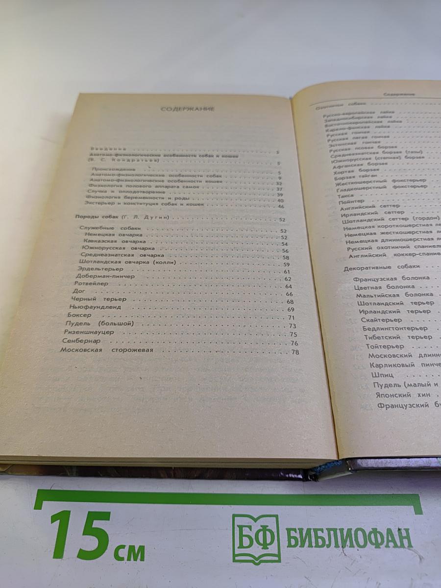 Ваши домашние четвероногие друзья