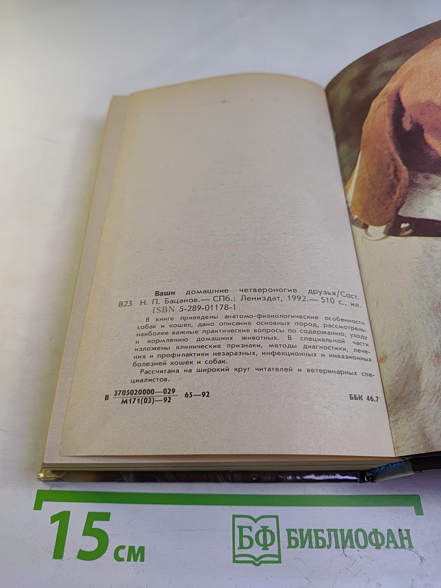 Ваши домашние четвероногие друзья