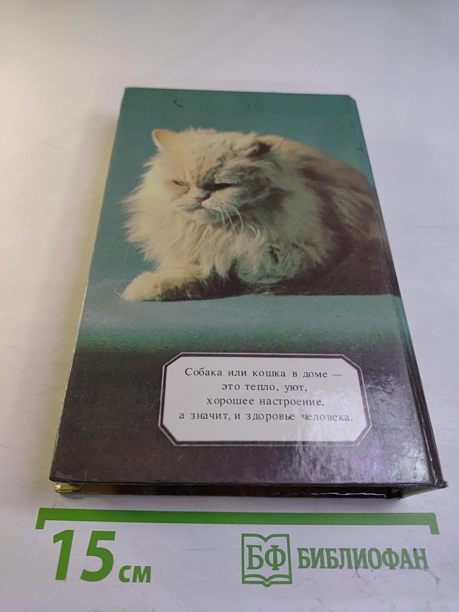 Ваши домашние четвероногие друзья