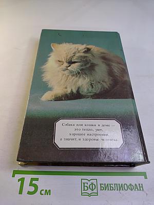 Ваши домашние четвероногие друзья