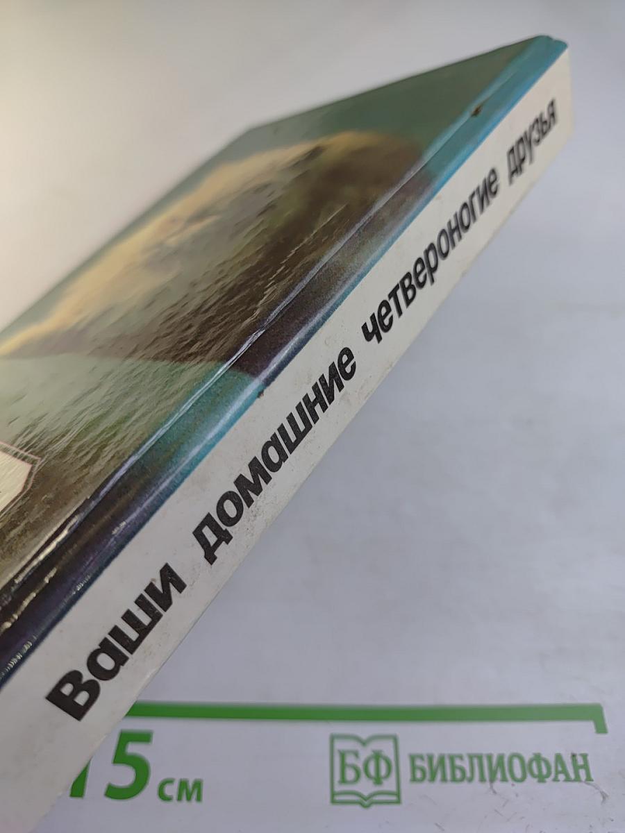 Ваши домашние четвероногие друзья