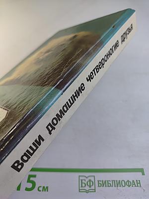 Ваши домашние четвероногие друзья
