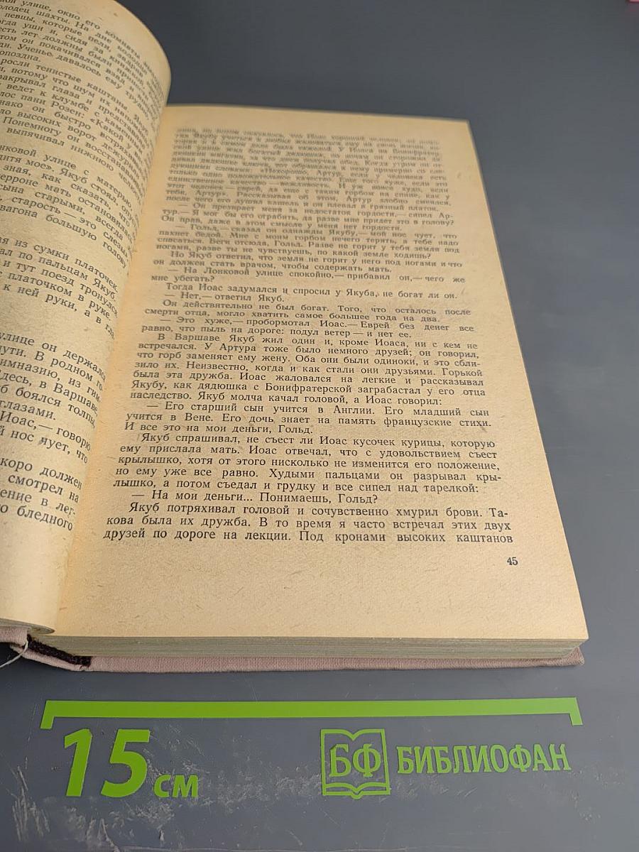 Между Войнами. Том Первый