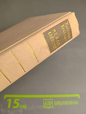 Между Войнами. Том Первый