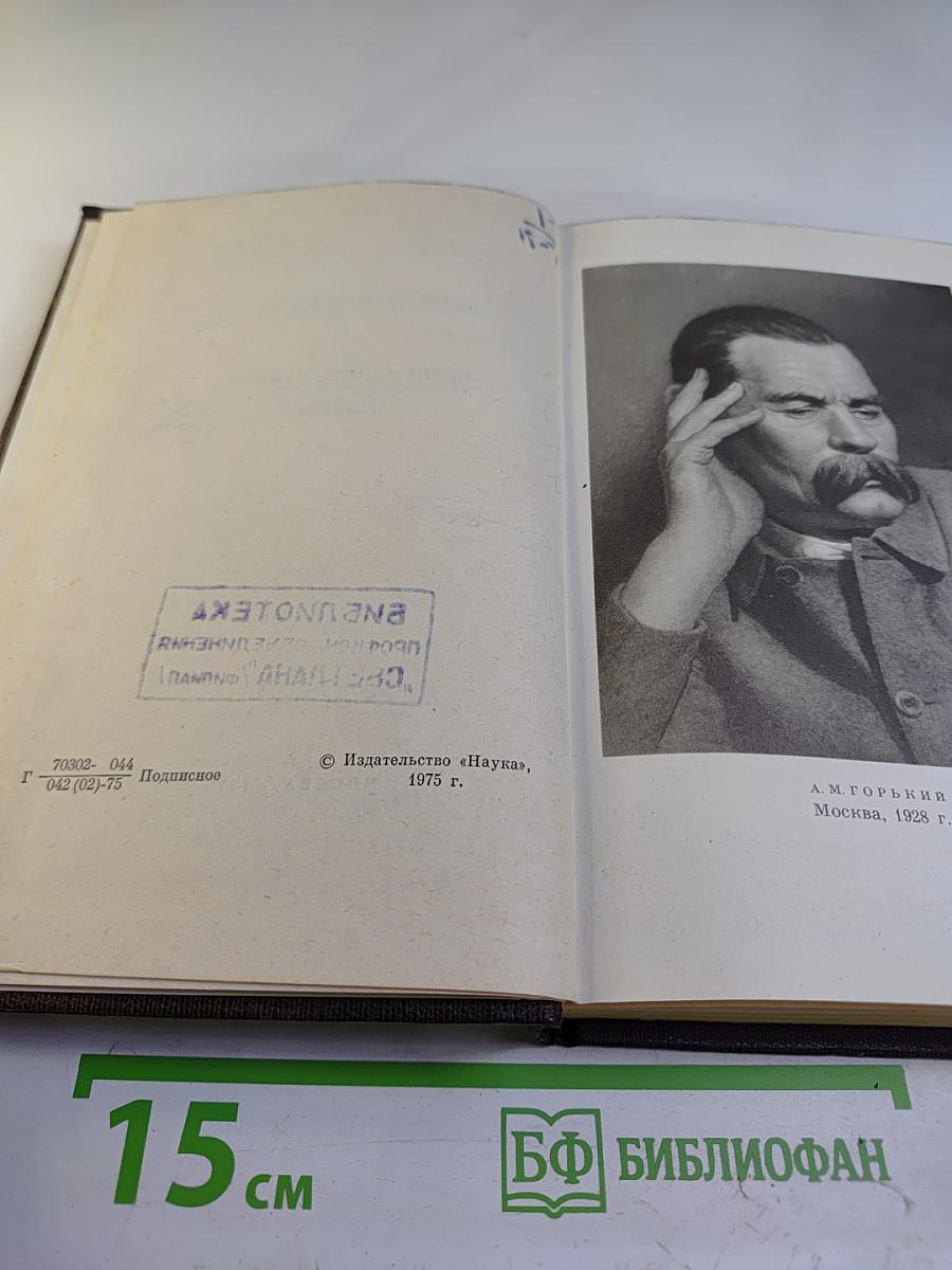 Жизнь Клима Самгина. Том 23