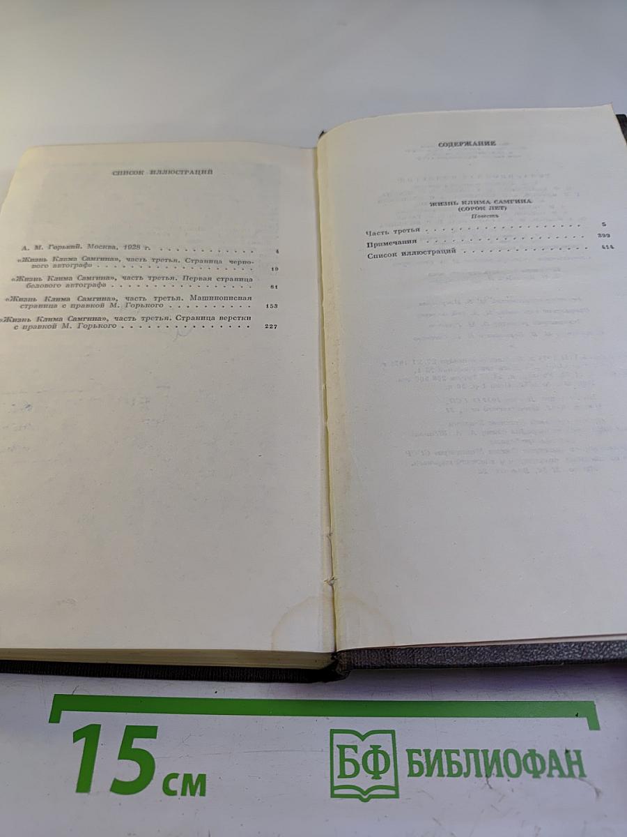 Жизнь Клима Самгина. Том 23