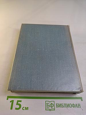 Нетерпение