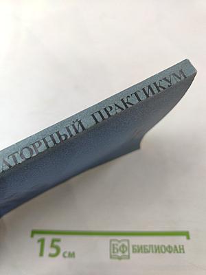 Лабораторный практикум по высшей математике