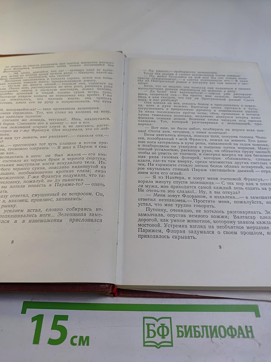 Чрево Парижа. Том 2