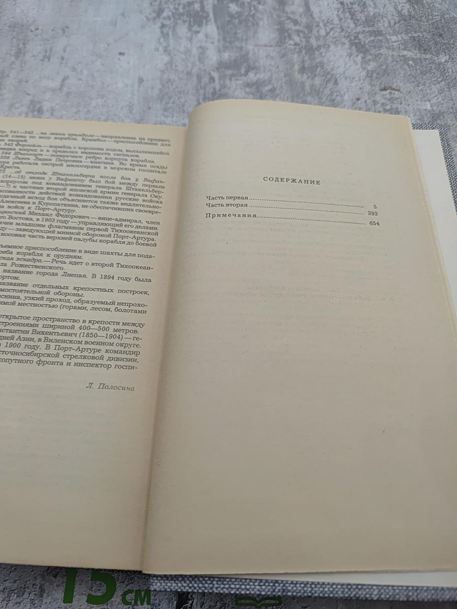 Порт-Артур. Роман в двух книгах. Книга первая