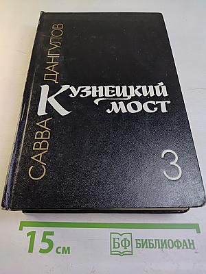 Кузнецкий мост. Книга 3