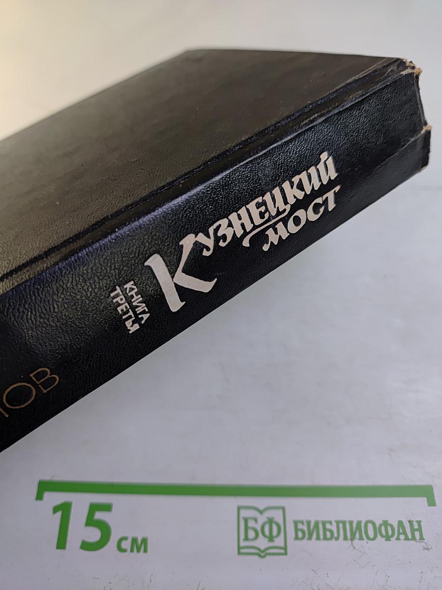 Кузнецкий мост. Книга 3