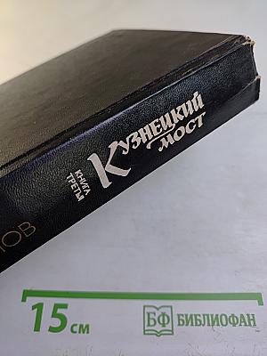 Кузнецкий мост. Книга 3