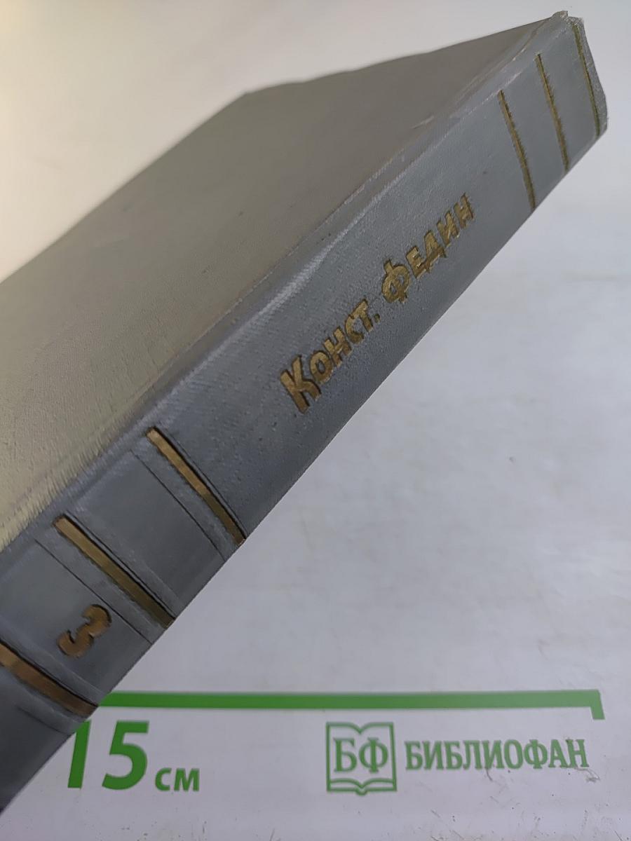 Собрание сочинений. Том третий: Братья. Наровчатская хроника. Трансвааль