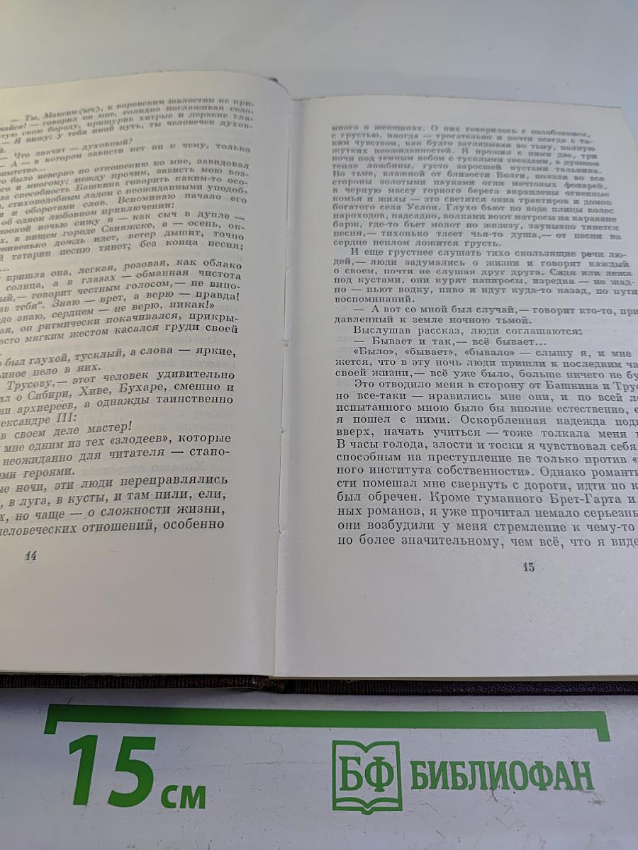Собрание сочинений. Том 16. Повесть, Рассказы, Очерки, Стихи 1917-1924