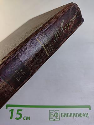 Собрание сочинений. Том 16. Повесть, Рассказы, Очерки, Стихи 1917-1924