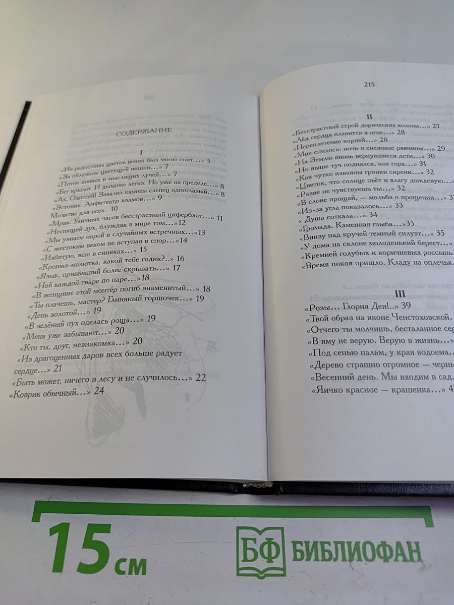 Бог Видимый. Книга стихов