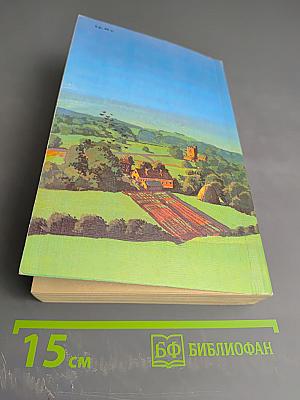 Посредник по найму