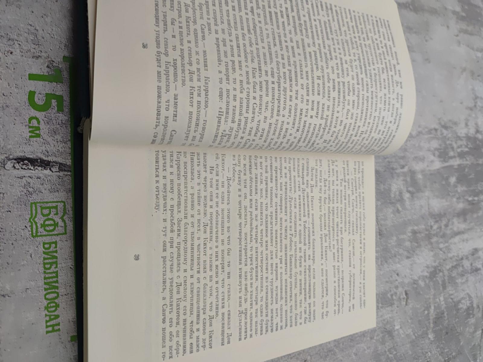 Хитроумный идальго Дон Кихот Ламанчский. Часть вторая