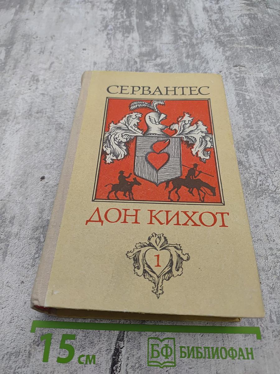 Дон Кихот, Часть 1