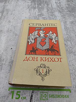 Дон Кихот, Часть 1