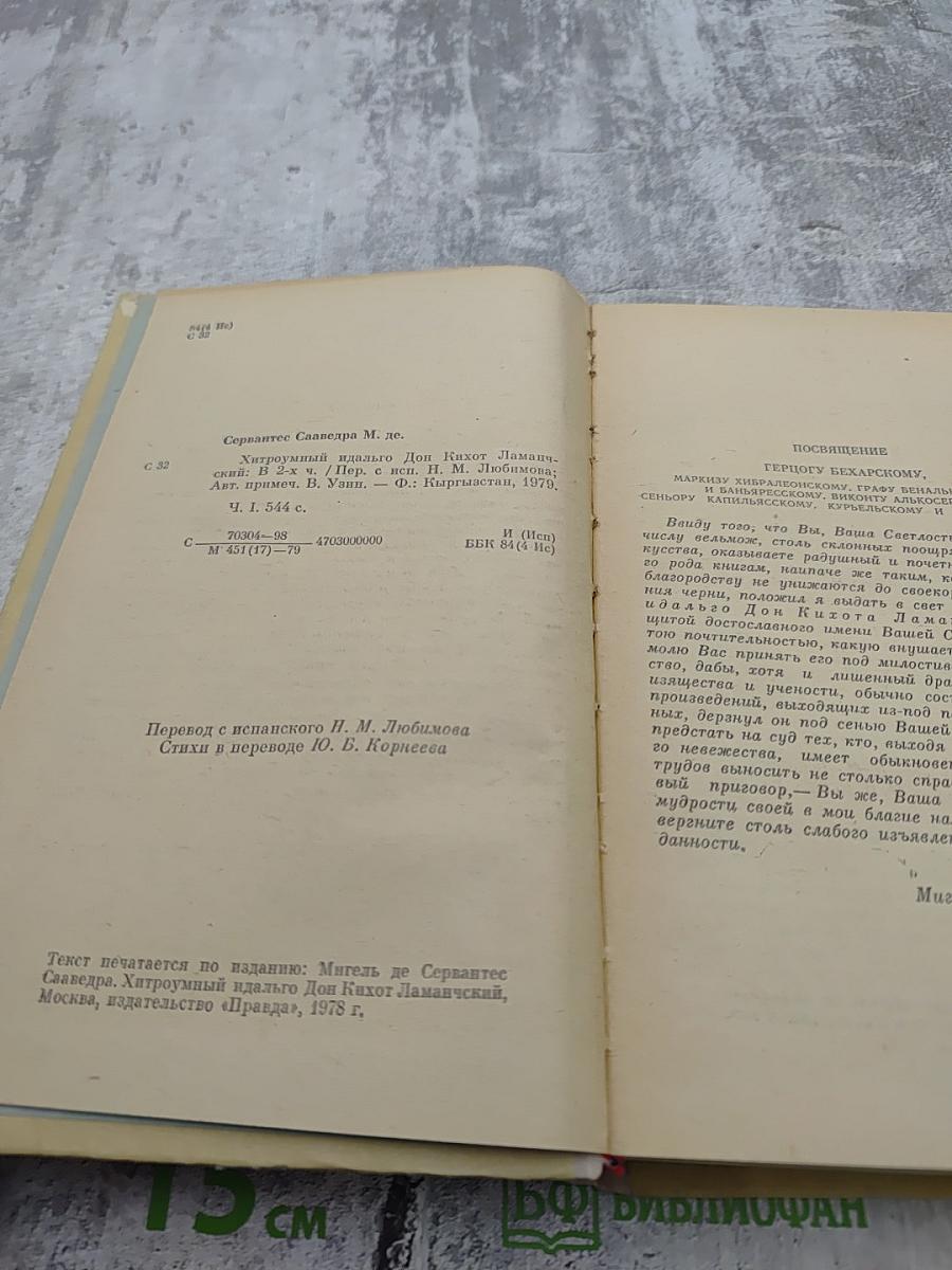 Дон Кихот, Часть 1