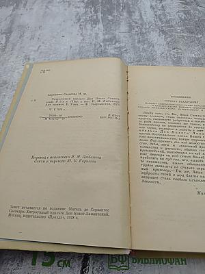 Дон Кихот, Часть 1