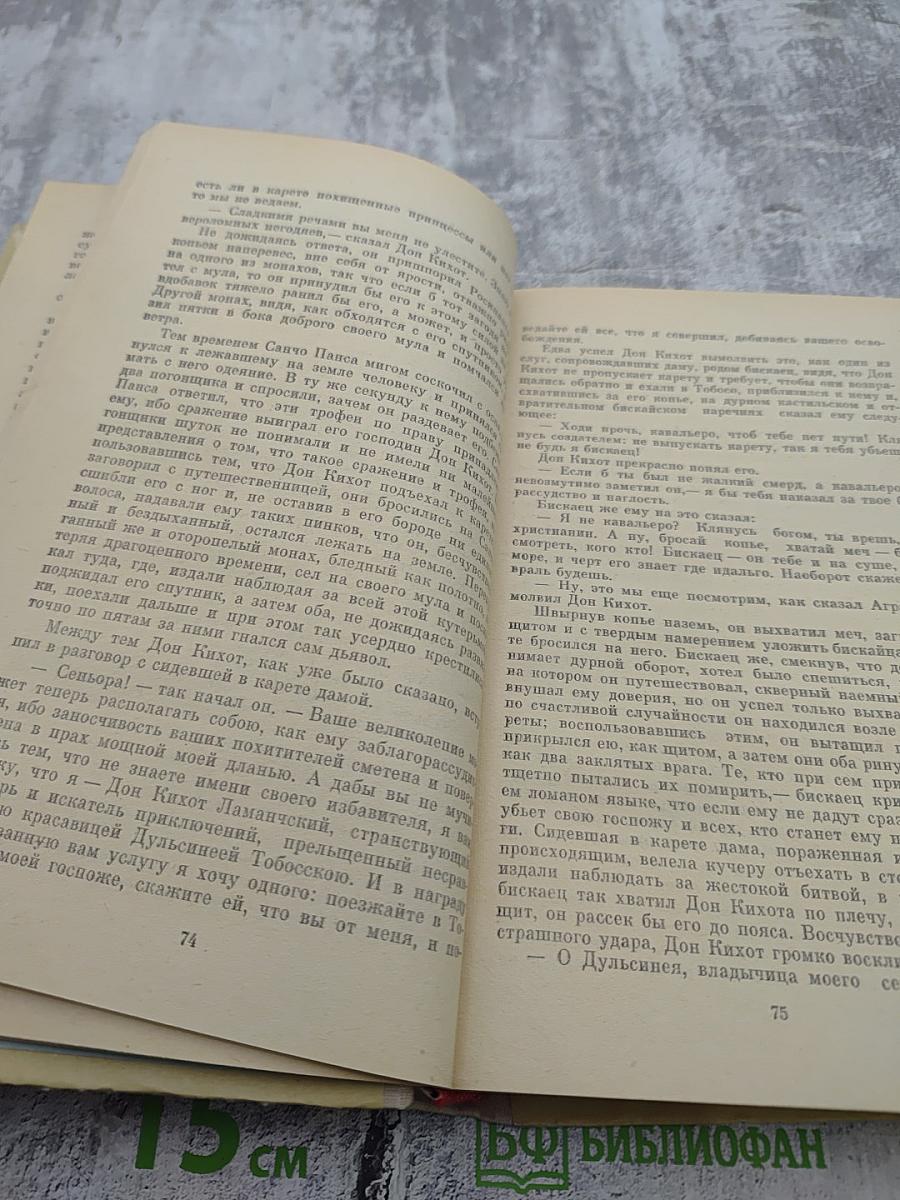 Дон Кихот, Часть 1