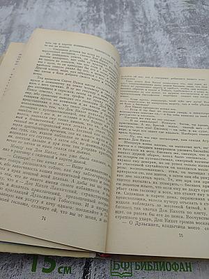 Дон Кихот, Часть 1