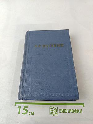 Евгений Онегин. Драматические произведения. Том пятый