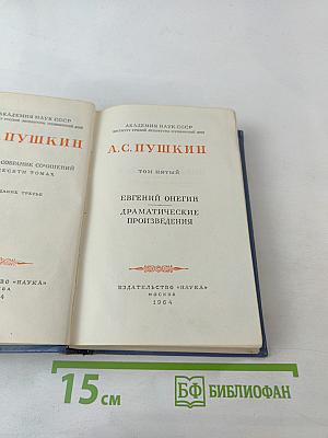Евгений Онегин. Драматические произведения. Том пятый