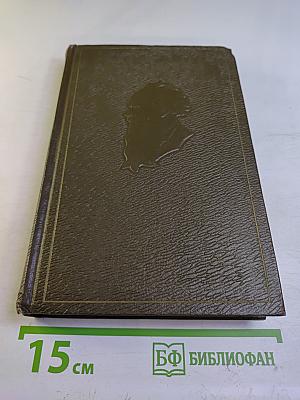 Собрание сочинений. Том пятнадцатый. Статьи об искусстве и литературе