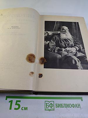 Собрание сочинений. Том пятнадцатый. Статьи об искусстве и литературе