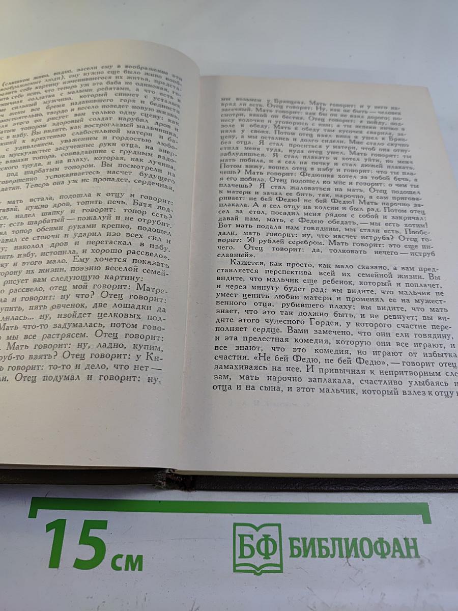 Собрание сочинений. Том пятнадцатый. Статьи об искусстве и литературе
