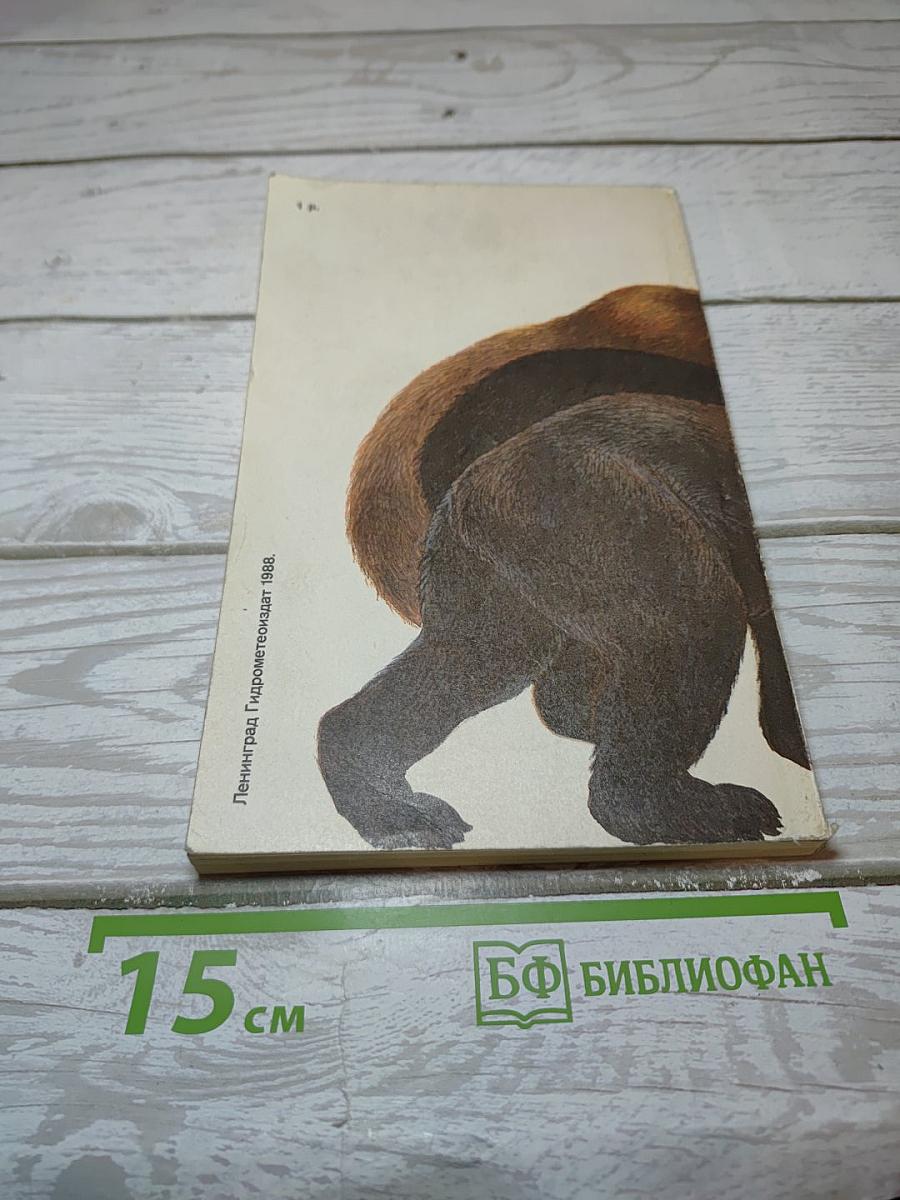 Медведи и Я
