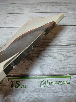 Медведи и Я